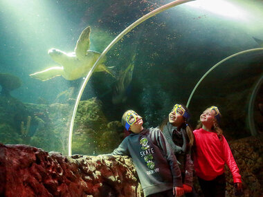 Journée passionnante en famille au SEA LIFE Marine Park à Blankenberge