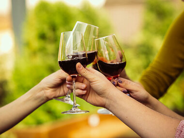 Vinsmagning med rundvisning på Skærsøgaard Vin for 4