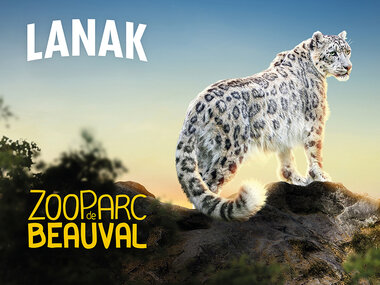 2 dagen in het Franse ZooParc de Beauval in 2025 voor 2 personen
